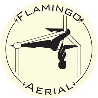 Flamingo Aerial